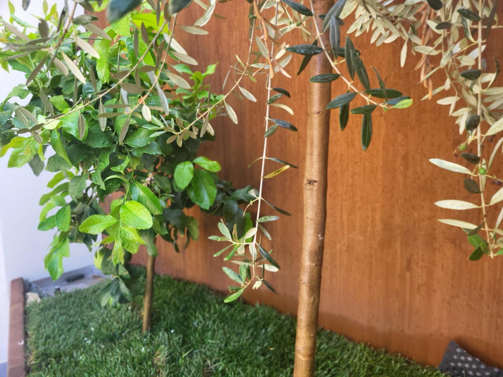 Attilio High Living Suites - Adults Only Torri Del Benaco Ruang foto